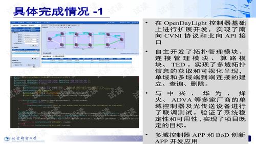 软件定义光网络（SDON）原型系统开发与演示 项目初验汇报